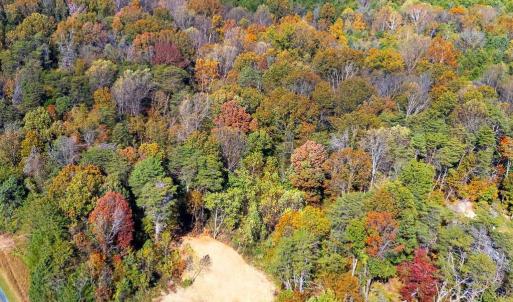 Photo #15 of YOUNG RD, RILEYVILLE, VA 7.9 acres