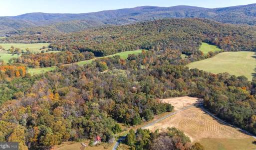 Photo #14 of YOUNG RD, RILEYVILLE, VA 7.9 acres