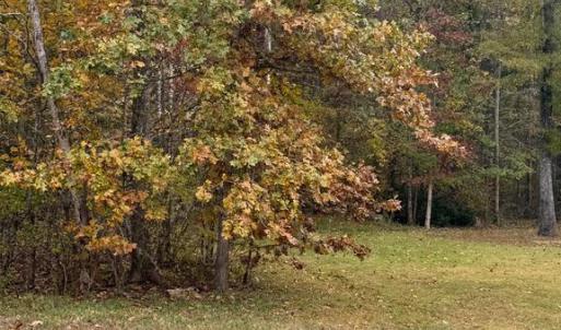 Photo #3 of 10150 RAINBOW LN, SPOTSYLVANIA, VA 5.1 acres