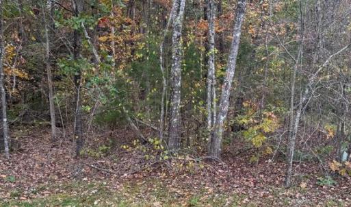 Photo #4 of 10150 RAINBOW LN, SPOTSYLVANIA, VA 5.1 acres