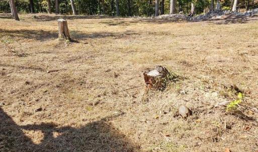 Photo #16 of HILL CLIMB RD., STANLEY, VA 1.7 acres