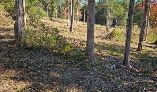 Photo #19 of HILL CLIMB RD., STANLEY, VA 1.7 acres