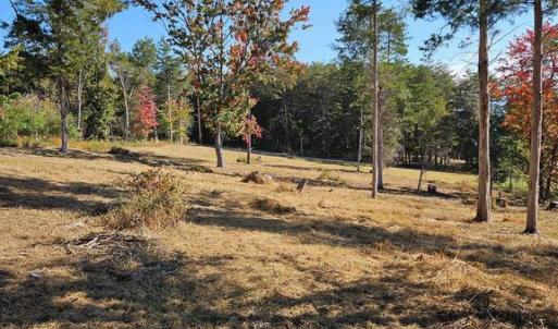 Photo #22 of HILL CLIMB RD., STANLEY, VA 1.7 acres