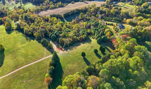 Photo #6 of SEMINOLE, MADISON, VA 3.7 acres