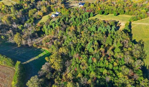 Photo #18 of LOT 3 N SEMINOLE TRL, MADISON, VA 3.0 acres