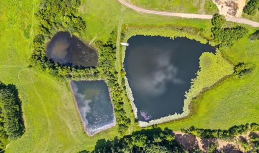 Photo #6 of TEAL, ELKWOOD, VA 90.0 acres