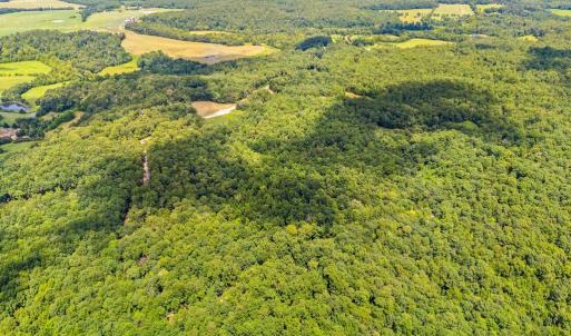 Photo #5 of KIPPS, ELKWOOD, VA 30.1 acres