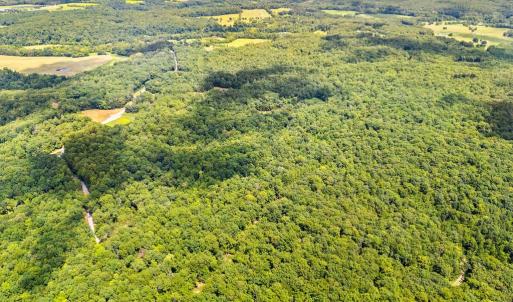 Photo #6 of KIPPS, ELKWOOD, VA 30.1 acres