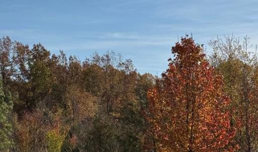 Photo #1 of BAINES CORNER ROAD, BEALETON, VA 25.0 acres