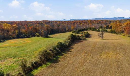 Photo #5 of TRASARA RD, RAPIDAN, VA 44.7 acres