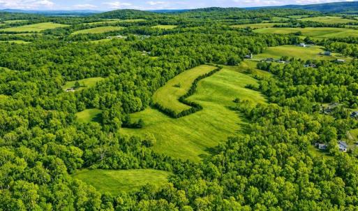 Photo #12 of TRASARA RD, RAPIDAN, VA 44.7 acres
