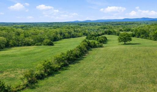 Photo #14 of TRASARA RD, RAPIDAN, VA 44.7 acres