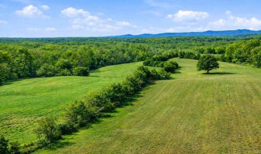 Photo #2 of TRASARA RD, RAPIDAN, VA 44.7 acres