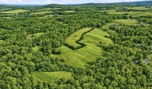 Photo #10 of TRASARA RD, RAPIDAN, VA 44.7 acres