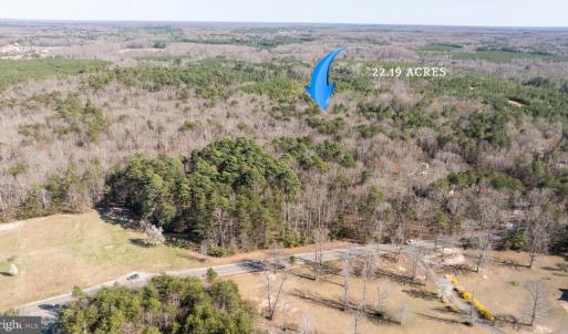 Photo #3 of 4669 PARTLOW RD, PARTLOW, VA 22.2 acres