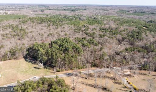 Photo #5 of 4669 PARTLOW RD, PARTLOW, VA 22.2 acres