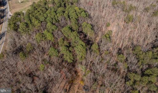 Photo #12 of 4669 PARTLOW RD, PARTLOW, VA 22.2 acres