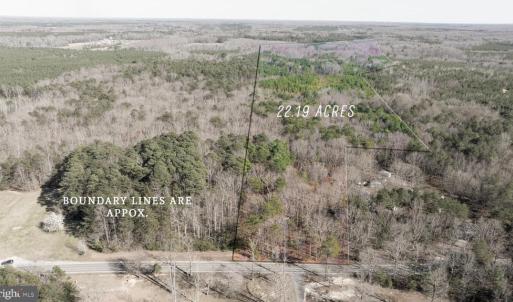 Photo #2 of 4669 PARTLOW RD, PARTLOW, VA 22.2 acres