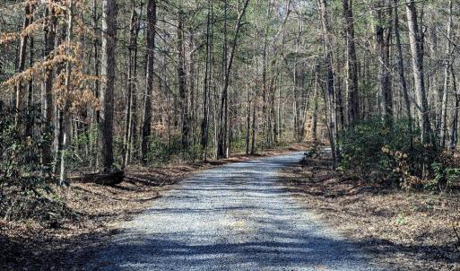 Photo #70 of SLATE MILL RD, STANARDSVILLE, VA 74.9 acres