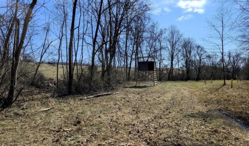 Photo #73 of SLATE MILL RD, STANARDSVILLE, VA 54.0 acres