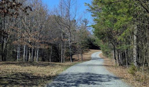 Photo #72 of SLATE MILL RD, STANARDSVILLE, VA 54.0 acres