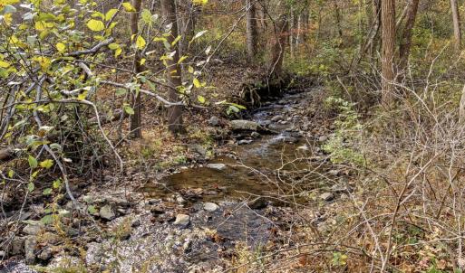 Photo #13 of GID BROWN HOLLOW, WASHINGTON, VA 27.9 acres