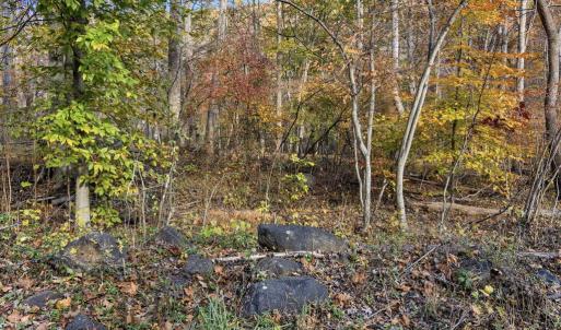 Photo #22 of GID BROWN HOLLOW, WASHINGTON, VA 27.9 acres