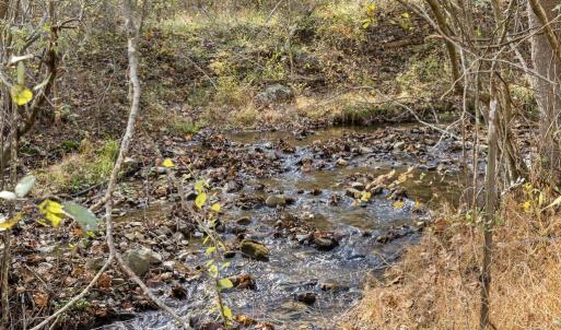 Photo #18 of GID BROWN HOLLOW, WASHINGTON, VA 27.9 acres
