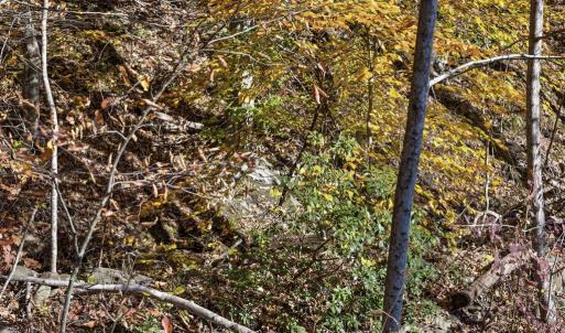 Photo #16 of GID BROWN HOLLOW, WASHINGTON, VA 27.9 acres