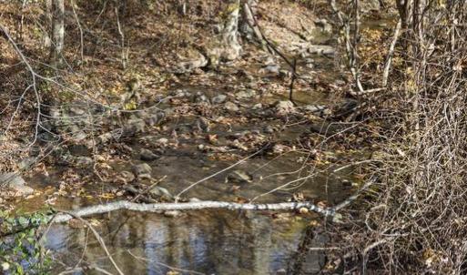 Photo #14 of GID BROWN HOLLOW, WASHINGTON, VA 27.9 acres