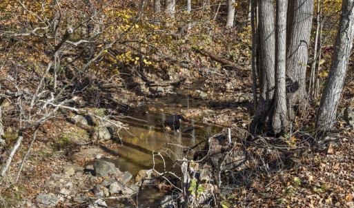 Photo #17 of GID BROWN HOLLOW, WASHINGTON, VA 27.9 acres