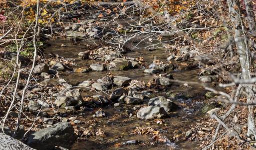 Photo #19 of GID BROWN HOLLOW, WASHINGTON, VA 27.9 acres