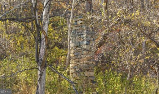 Photo #8 of GID BROWN HOLLOW, WASHINGTON, VA 27.9 acres