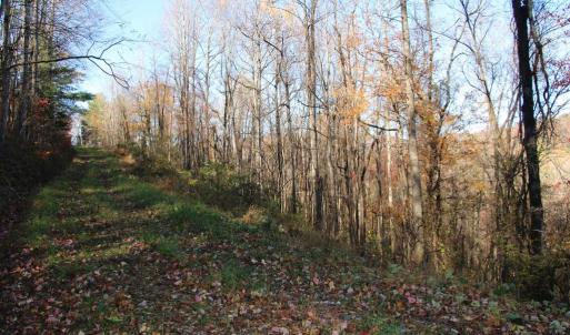 Photo #11 of OVERLOOK MOUNTAIN RD, ELKTON, VA 3.4 acres