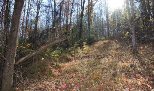 Photo #3 of OVERLOOK MOUNTAIN RD, ELKTON, VA 3.4 acres