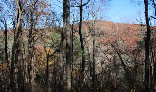 Photo #9 of OVERLOOK MOUNTAIN RD, ELKTON, VA 3.4 acres