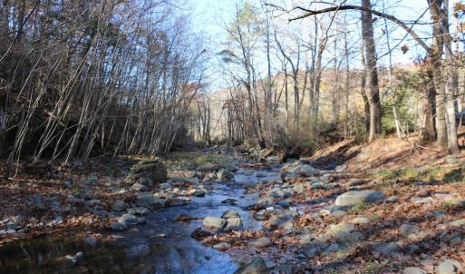 Photo #14 of OVERLOOK MOUNTAIN RD, ELKTON, VA 3.4 acres