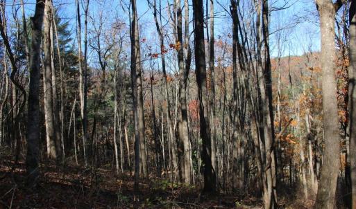 Photo #18 of OVERLOOK MOUNTAIN RD, ELKTON, VA 3.4 acres