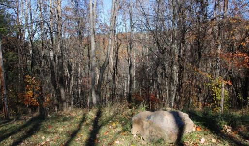 Photo #19 of OVERLOOK MOUNTAIN RD, ELKTON, VA 3.4 acres