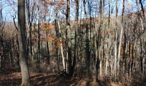 Photo #4 of OVERLOOK MOUNTAIN RD, ELKTON, VA 3.4 acres