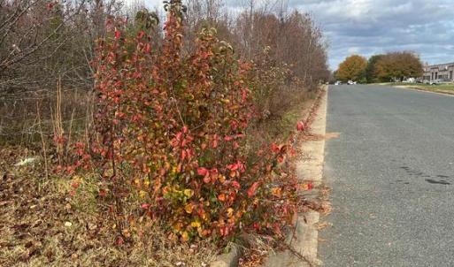 Photo #4 of 11000 PIERSON DR, FREDERICKSBURG, VA 2.1 acres