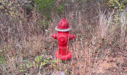 Photo #5 of 11000 PIERSON DR, FREDERICKSBURG, VA 2.1 acres