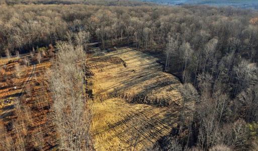 Photo #10 of RAPIDAN FARMS DRIVE, LIGNUM, VA 10.0 acres