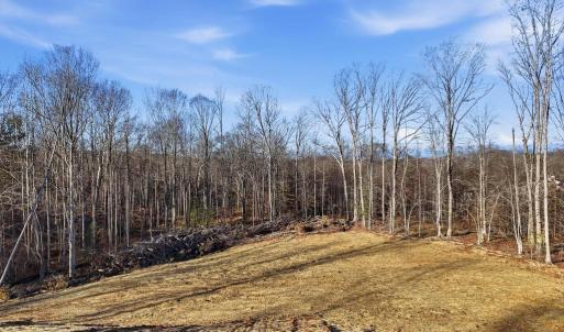 Photo #5 of RAPIDAN FARMS DRIVE, LIGNUM, VA 10.0 acres