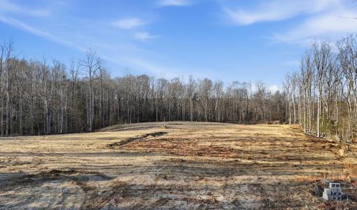 Photo #7 of RAPIDAN FARMS DRIVE, LIGNUM, VA 10.0 acres