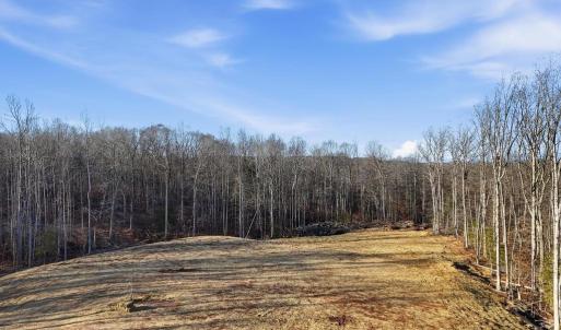 Photo #8 of RAPIDAN FARMS DRIVE, LIGNUM, VA 10.0 acres