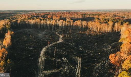 Photo #5 of 12600 W CATHARPIN RD, SPOTSYLVANIA, VA 312.0 acres