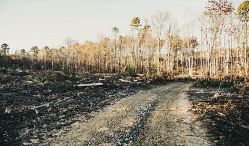 Photo #42 of 12600 W CATHARPIN RD, SPOTSYLVANIA, VA 312.0 acres