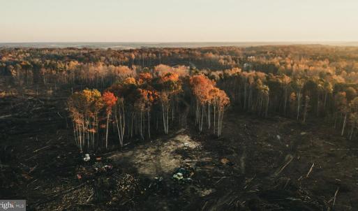 Photo #9 of 12600 W CATHARPIN RD, SPOTSYLVANIA, VA 312.0 acres