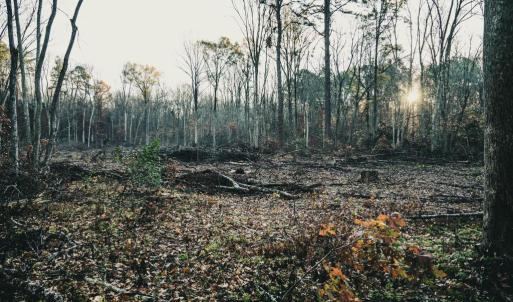 Photo #23 of 12600 W CATHARPIN RD, SPOTSYLVANIA, VA 312.0 acres